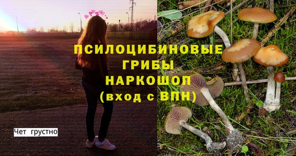 каннабис Баксан