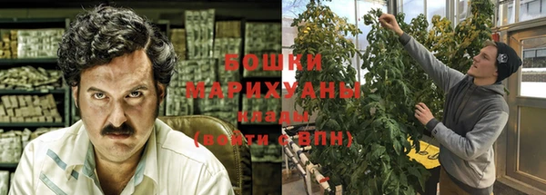 эйфоретик Осинники
